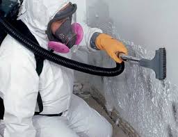 Best Mold Odor Removal Services  in Andover, MN